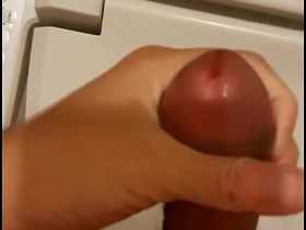 asian penis asian elated bears sex videos